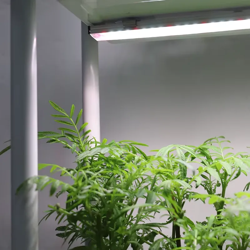 Smart Garden Box - Przenośny, pionowy, 3-poziomowy, samonawadniający się inteligentny